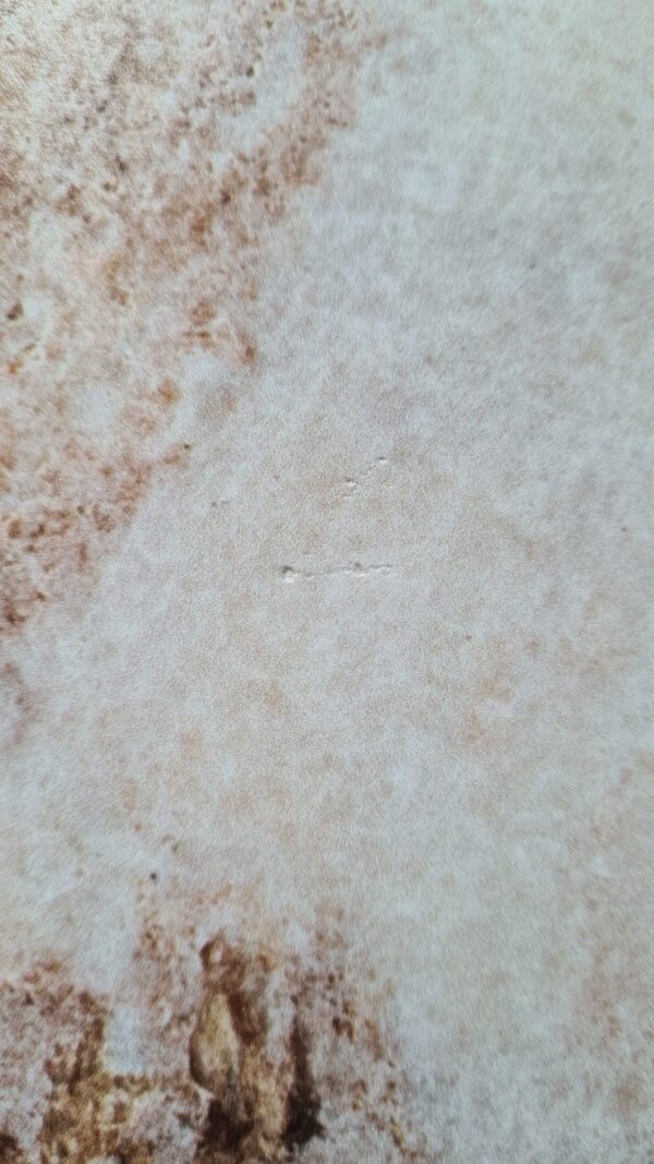 20230607_124951 20230607_124951