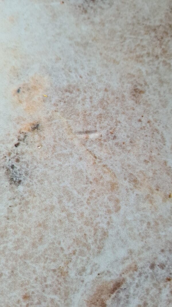 20230607_125658 20230607_125658