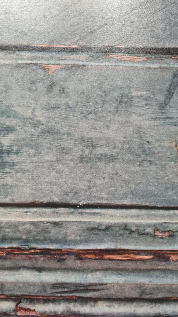 20230607_130602 20230607_130602