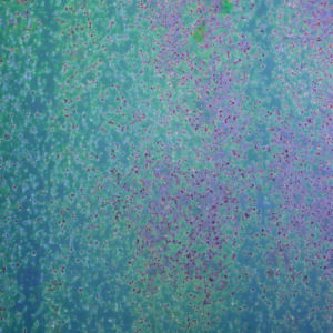 60x90