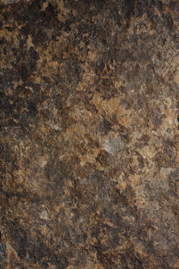 brazowe-tlo-fotograficzne-mbackdrops brazowe-tlo-fotograficzne-mbackdrops