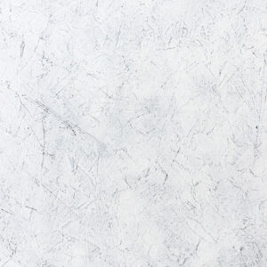 089-MOONMIST-P-9060