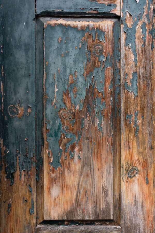 DSC_8405-min DSC_8405-min