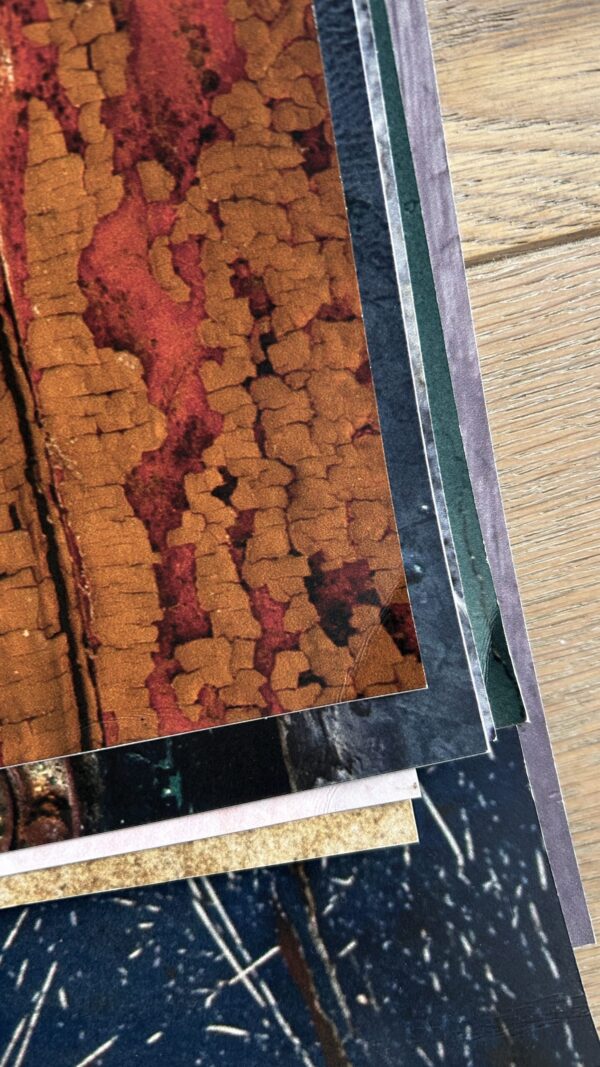 Zdjęcie 29.12.2024, 10 16 56 Zdjęcie 29.12.2024, 10 16 56