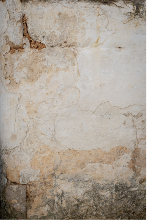 Tło fotograficzne Sandy