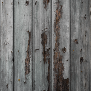 Zrzut ekranu 2026-02-15 o 18.53.37