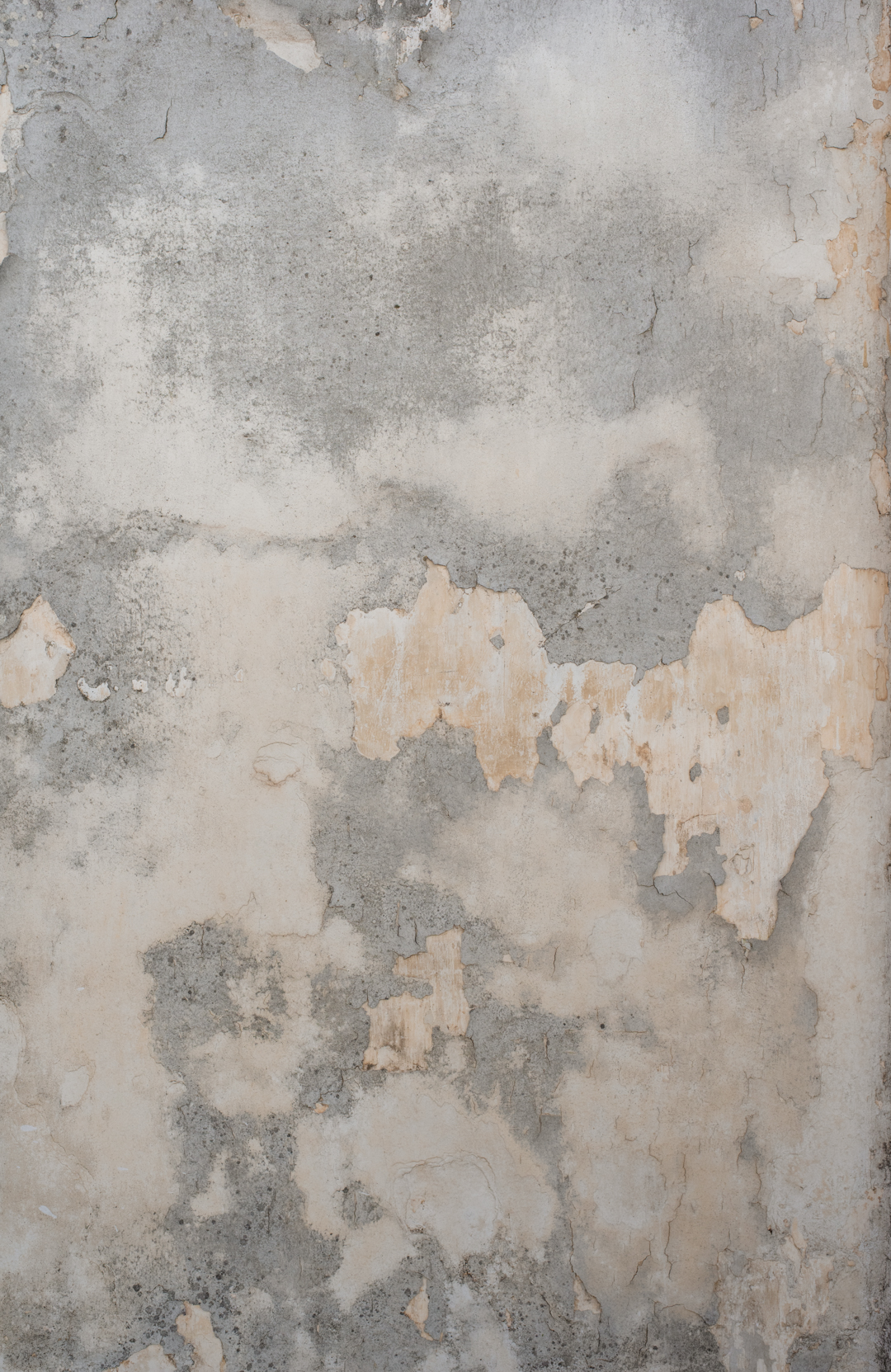 asne betonowe tło fotograficzne Grigio do zdjęć kulinarnych i produktowych — mbackdrops