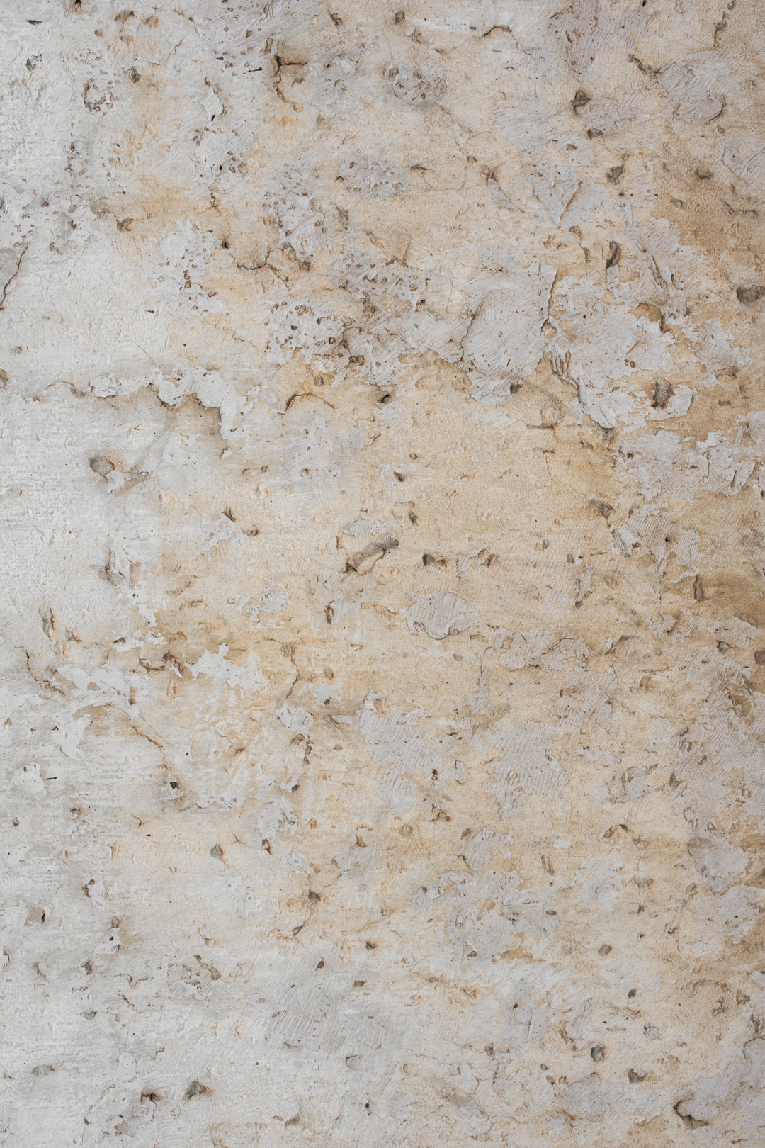 Jasne tło fotograficzne Vecchio z fakturą przetartego tynku do zdjęć kulinarnych i rękodzieła — mbackdrops