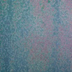 60x90